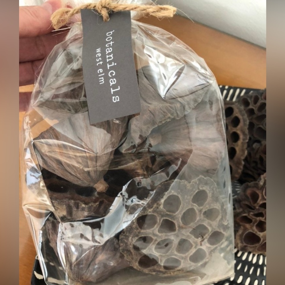 West Elm Dried Lotus Botanicals